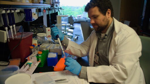 Dr. Mitch McGill uses a micropipette to transfer liquid into a test tube rack, surrounded by lab equipment, samples, and notebooks, as he continues his project titled "In vitro assessment of the protective effects of selected ingredients against acetaminophen hepatotoxicity.